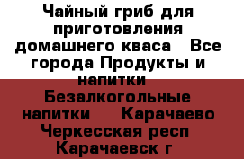 Чайный гриб для приготовления домашнего кваса - Все города Продукты и напитки » Безалкогольные напитки   . Карачаево-Черкесская респ.,Карачаевск г.